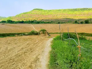 Jangali Nath Mandir