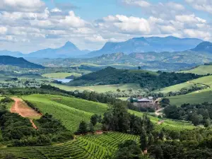 Honde Valley