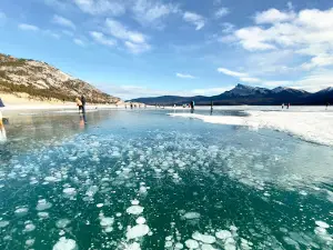 Abraham Lake Ice Bubbles Viewpoint