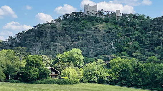 Meiereiwiese