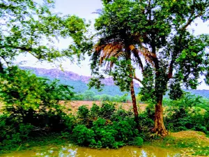 Bhasneh Ki Mata