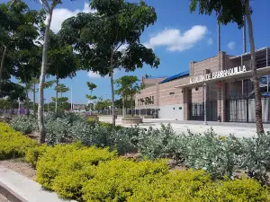 Edgar Renteria Stadium