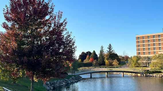 Meadow Brook Theatre