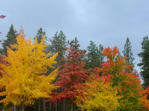 Q'emiln Park