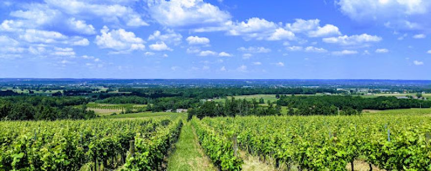 Domaine de Montlong