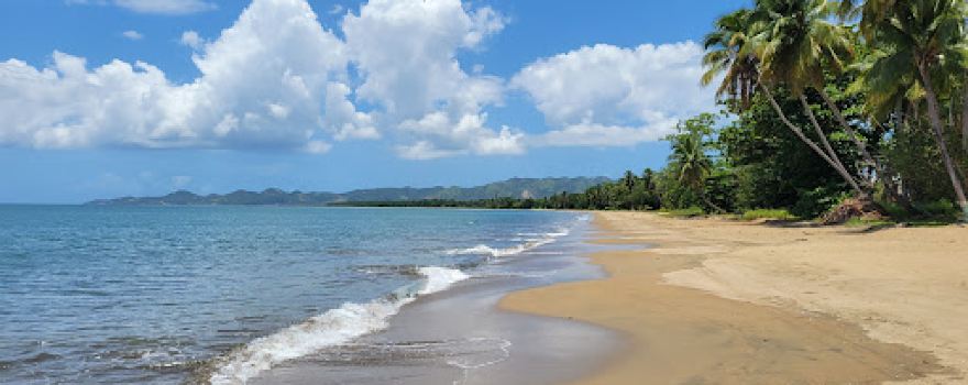 Playa Sabaneta