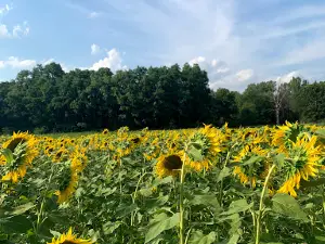 LaSalle Fish & Wildlife Area