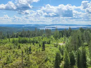 Paalasmaan Camping Ky