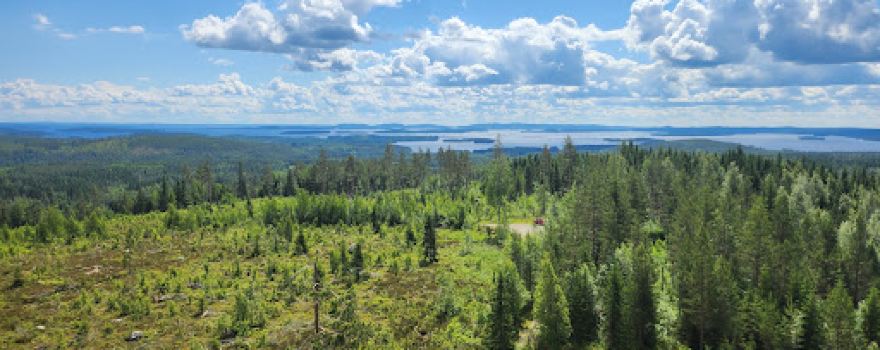Paalasmaan Camping Ky