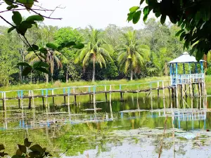 Harbaria Eco Tourism Center