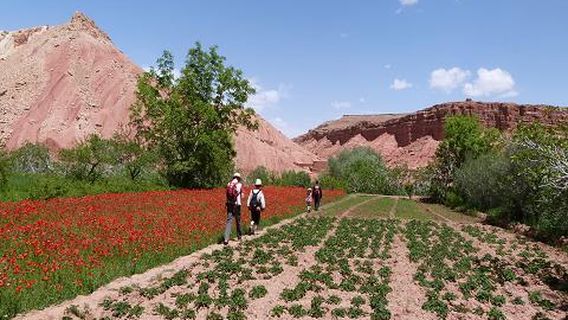 Randonnées trekking vallée des roses Maroc.