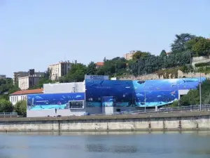 Aquarium de Lyon