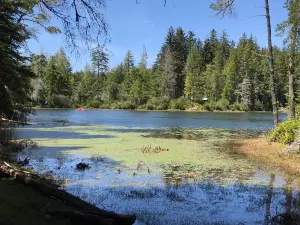 Jessie M. Honeyman Memorial State Park