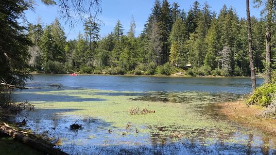 Jessie M. Honeyman Memorial State Park