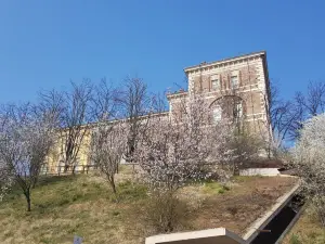 Castello di Rivoli Museum of Contemporary Art