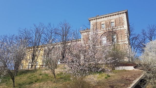 Castello di Rivoli Museum of Contemporary Art