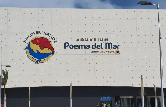 海詩水族館門票成人