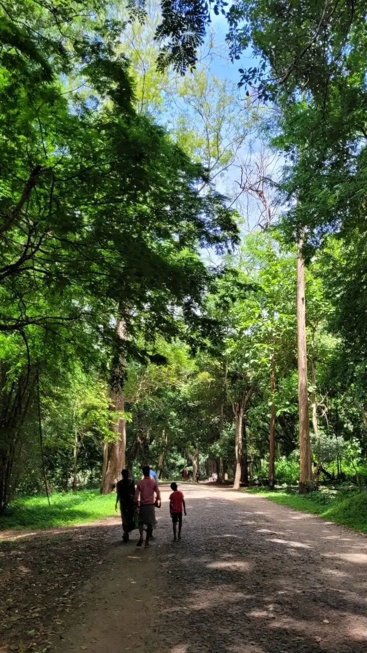 Hotels near Suruli Falls