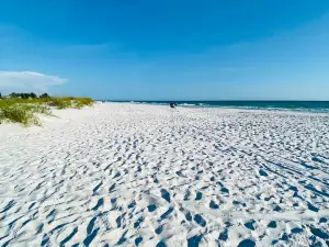 Bean Point Beach