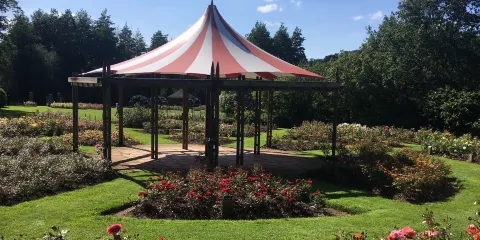 託馬斯爵士和狄克遜夫人公園