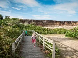 RSPB Minsmere