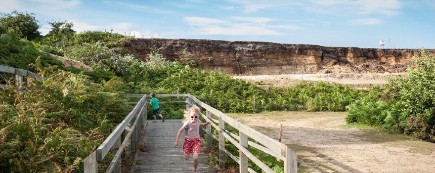 RSPB Minsmere