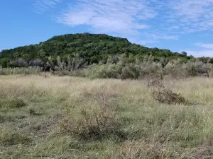 Dana Peak Park