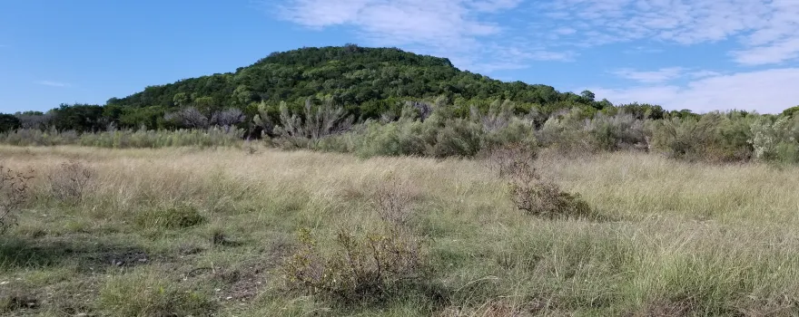 Dana Peak Park