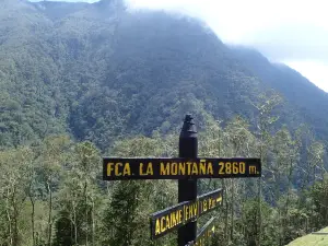 Los Nevados National Park
