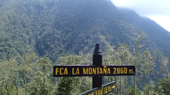 Los Nevados National Park