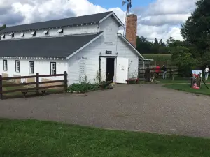Lumberjack Steam Train & Camp 5 Museum