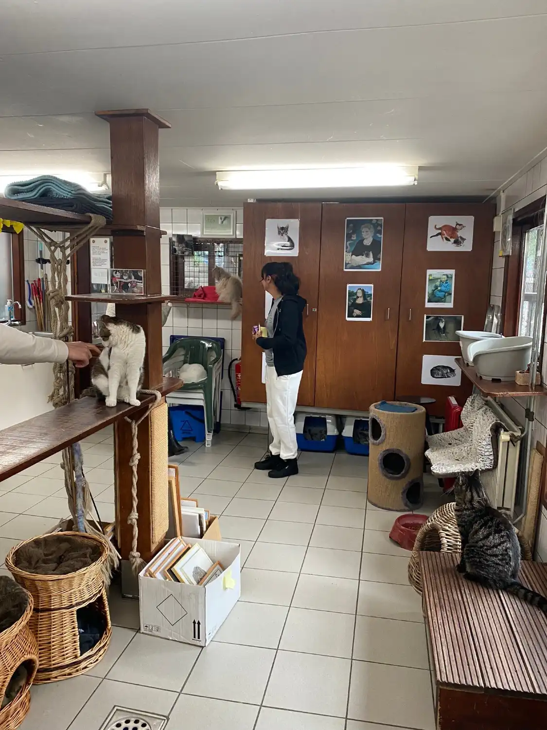 Hotel in zona De Poezenboot - La Barca dei Gatti
