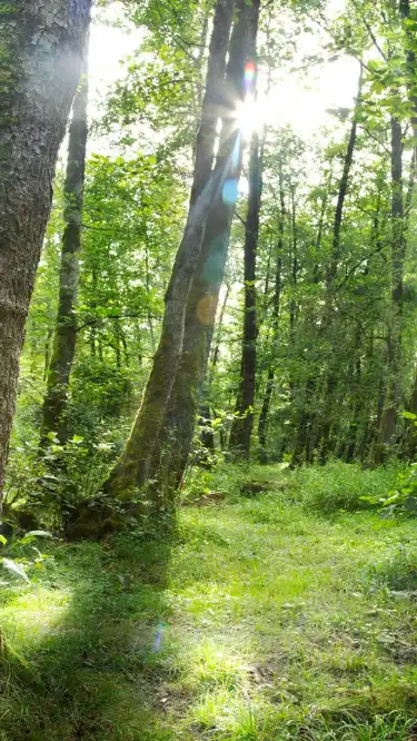 Khách sạn ở Gilan, Iran