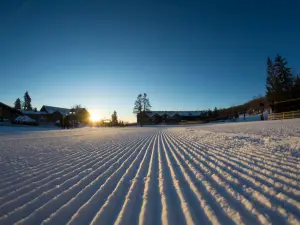 Mount Snow Resort