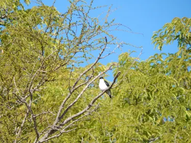 Tsimanampetsotse National Park