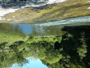 Rere Rockslides