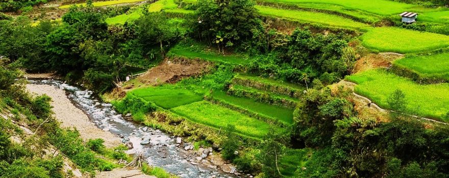 Hapao Rice Terraces