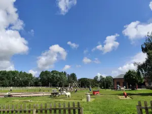Newham Grange Farm