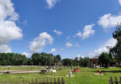 Newham Grange Farm