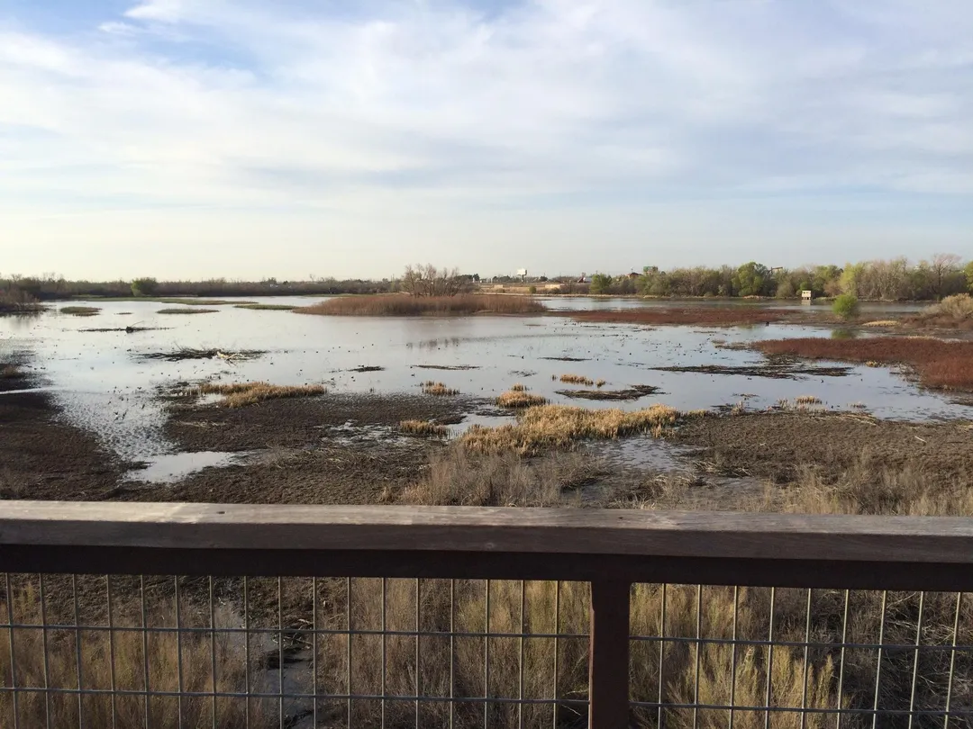 5_The I-20 Wildlife Preserve & Jenna Welch Nature Study Center