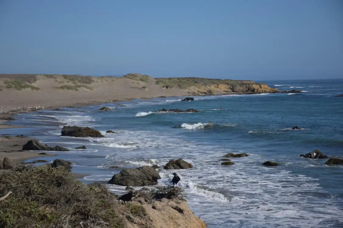 Hotel in zona Coastal Discovery Center at San Simeon Bay (Monterey Bay National Marine Sanctuary)