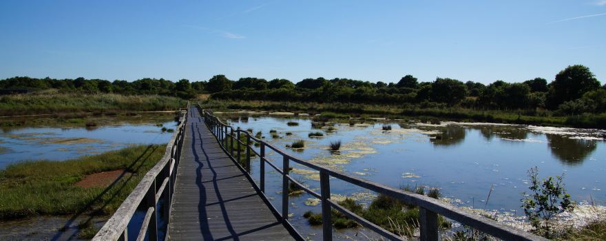 Reserve Naturelle Marais de Sene