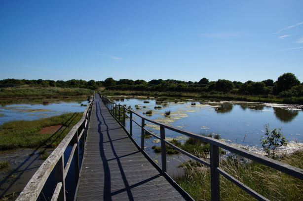Reserve Naturelle Marais de Sene