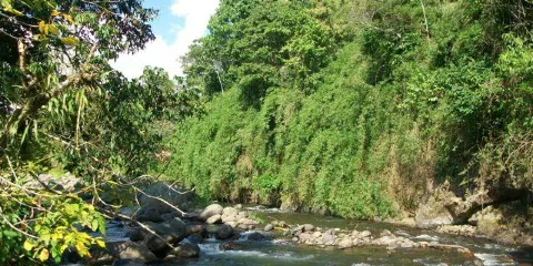 Kasaguadua Natural Reserve