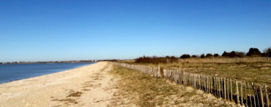 Reserve Naturelle Nationale Moëze-Oleron