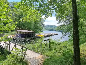 Yellowwood State Forest