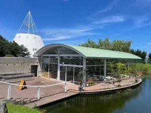 魚津埋没林博物館