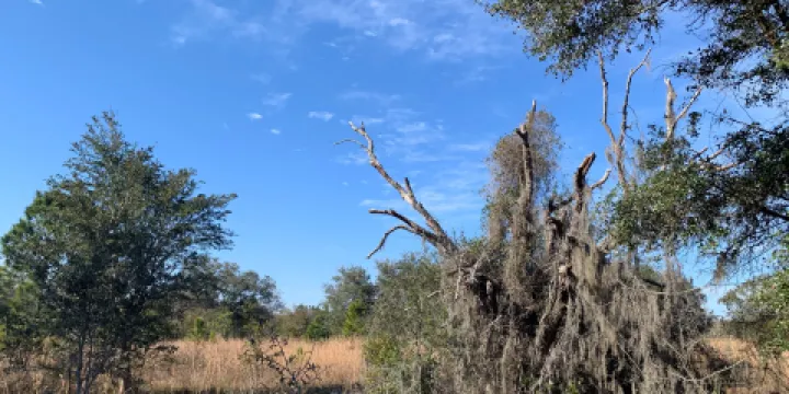Brooker Creek Headwaters Nature Preserve