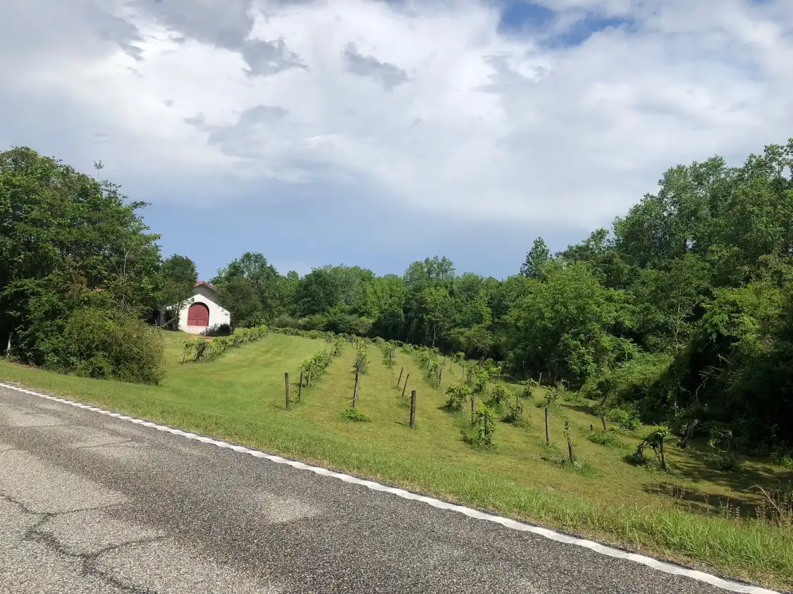 Hotels near Perdido Vineyards