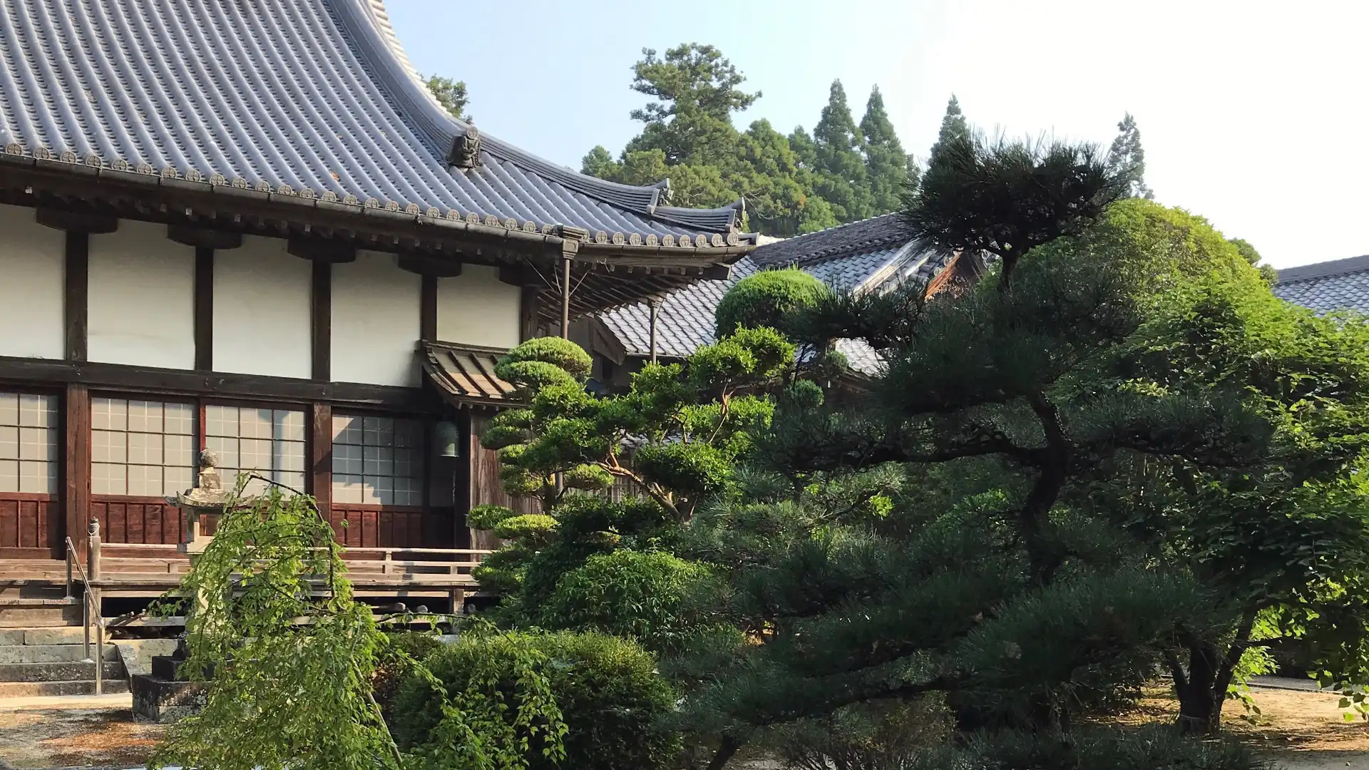 Hotels near Zuikoji